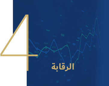 Monitoring Investment