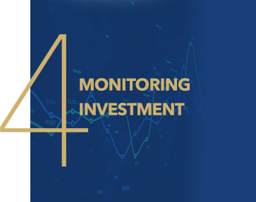 Monitoring Investment